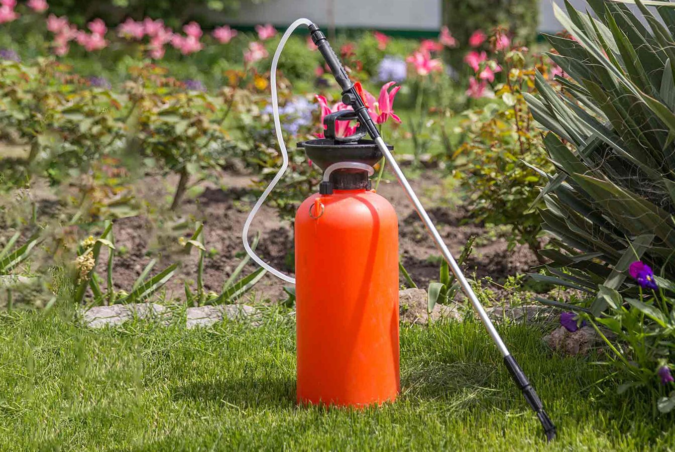 Топ-8 кращих гербіцидів для саду та городу — інтернет-магазин ...