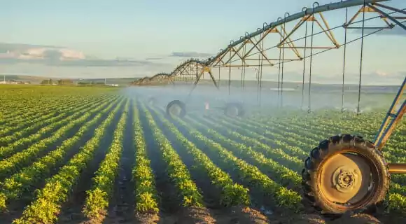 Боротьба з Бур'янами та Комплексні Методи Захисту Посівів