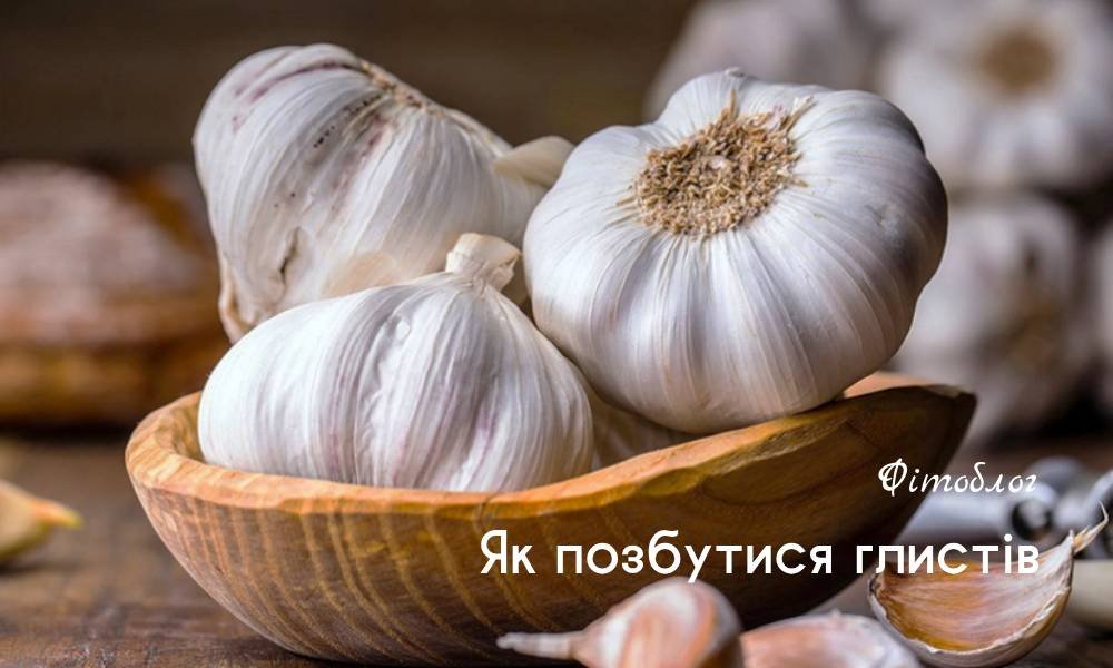 Як позбутися гельмінтів народними засобами - FitoBlog