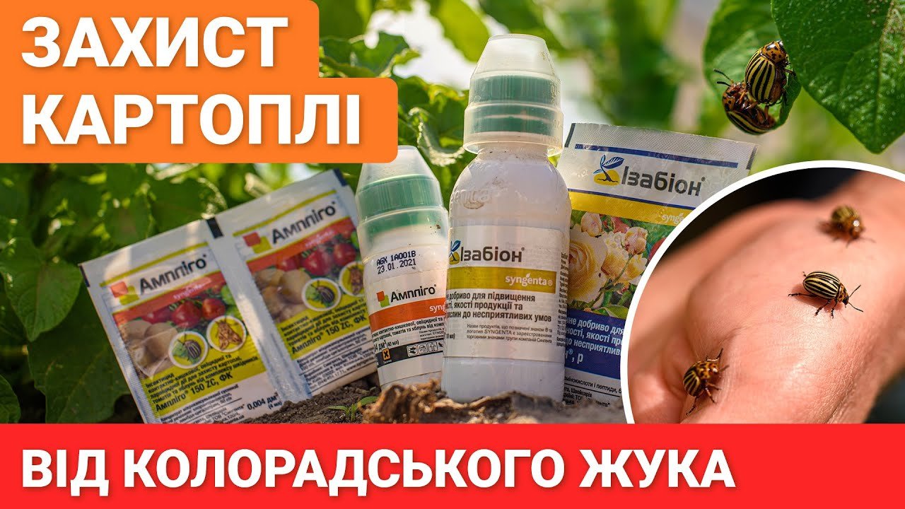 Інсектицид Кораген к.с. 1,2 мл, ProtectON