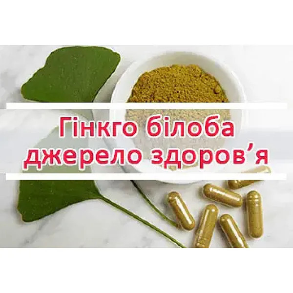 Гінкго білоба (фото) - застосування (відгуки фармацевта) | Сайт ...