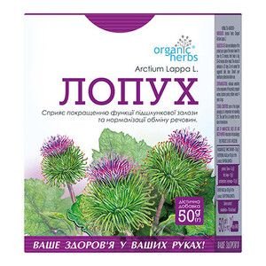 Деревій: що це, користь і шкода, застосування - FitoBlog
