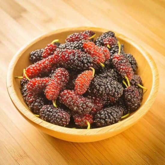 Саджанці шовковиці та аронії – здоров'я прямо з вашого саду ...