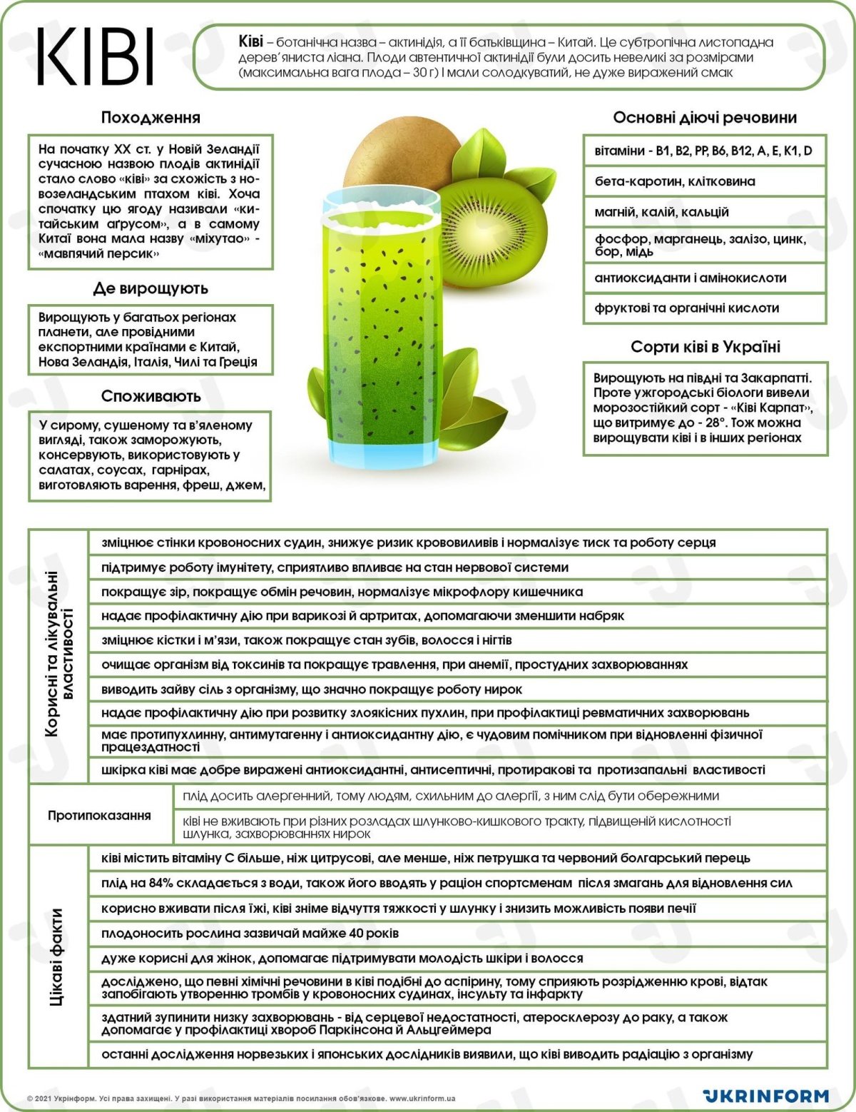 Корисні властивості ківі