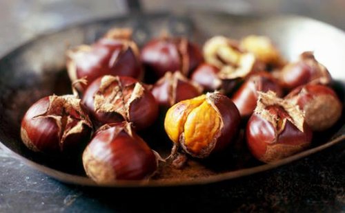 Каштан кінський звичайний корисні властивості