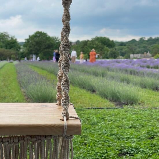 Нова колекція🔥 💗Midnight Magic💗 — кокетливий квітково ...