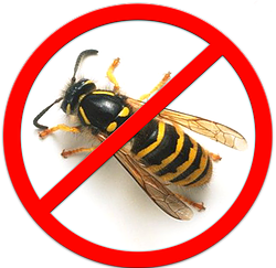 Мешки от ос на виноград красные 5 кг, 28*40 см (сетка-мешок для ...