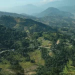 плавання | ЛНТУ | Луцький національний технічний університет