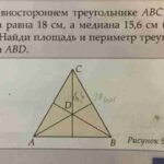 Задачі на периметр: математика 2 клас онлайн – Learning.ua