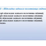 Стратегії пошуку керівників для швидкозростаючого бізнесу: як ...