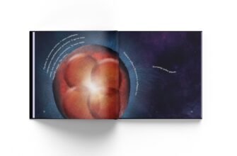 Звідки беруться мами: розкриття таємниці появи найдорожчої людини в житті