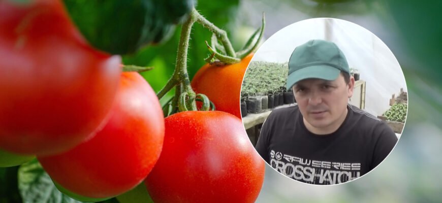 Звідки походить назва “добриво”: історія та етимологія терміна для Google