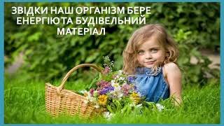 Звідки наш організм бере енергію: основні джерела для життєдіяльності людини