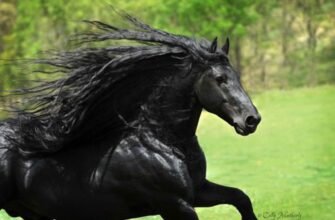 100 кличок для вашого коня: обираємо ідеальне ім’я українською