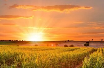 Кращі літні цитати для Instagram: надихайтесь та діліться настроєм!