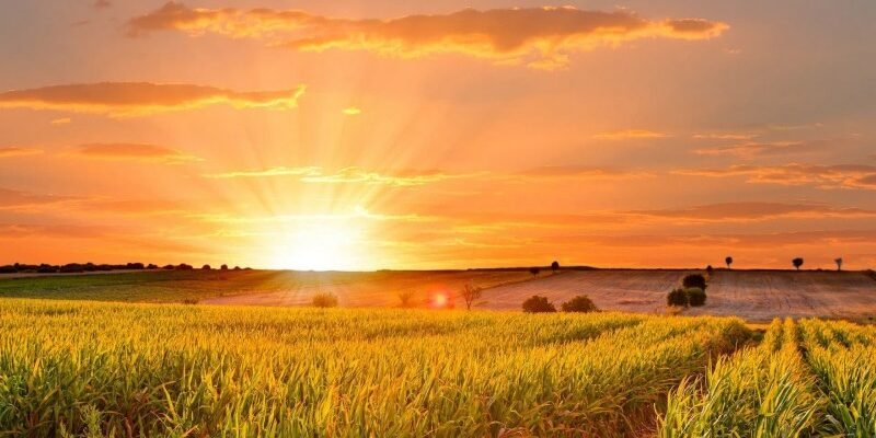 Кращі літні цитати для Instagram: надихайтесь та діліться настроєм!