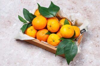 Солодкі та соковиті мандарини: обираємо ідеальний сорт для вас