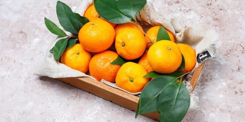 Солодкі та соковиті мандарини: обираємо ідеальний сорт для вас