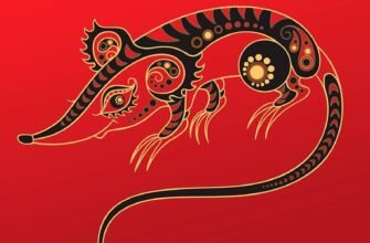 Характеристика Щура у 2008 році за китайським гороскопом: основні риси