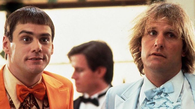 Кумедні вислови про дурність