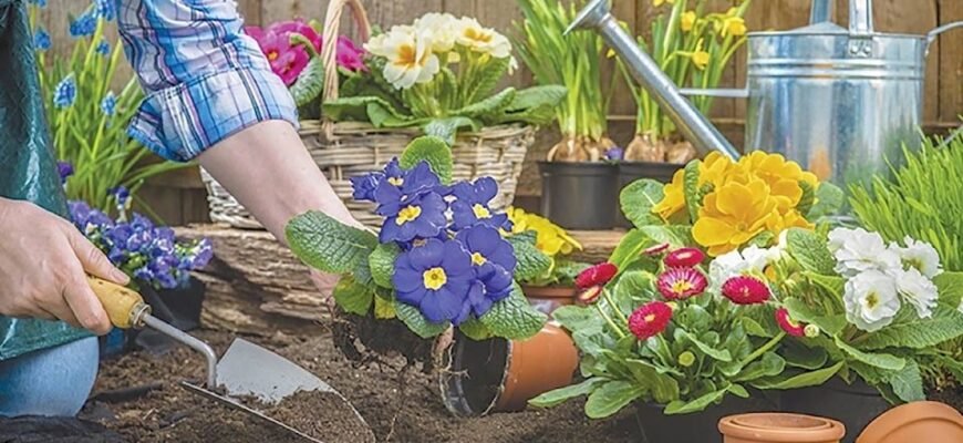 Купівля цибулин онлайн: ключові моменти для успішного вибору