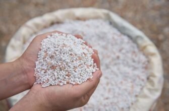 Вапняно-аміачна селітра: ефективний шлях до підвищення родючості грунту