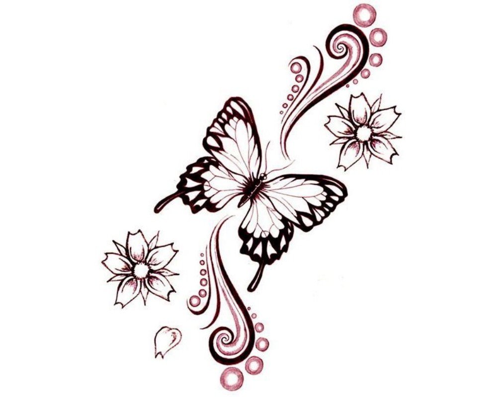 Ескіз метелик 4