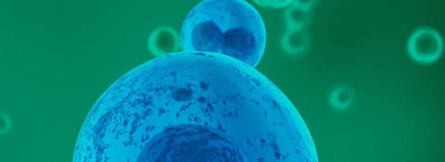 Мікробіологічний аналізатор: застосування та принципи роботи приладу