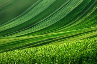 Біокор Текнолоджі: Інноваційні рішення для підвищення результативності