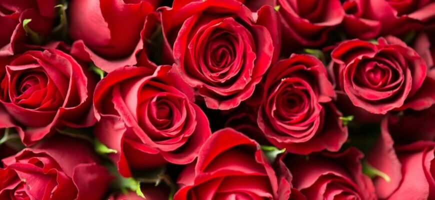 Оформлення букету з 51 троянди: практичні поради та креативні ідеї