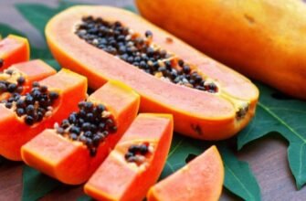 Цікаві факти про папайю: користь насіння, смакові особливості та ареал поширення