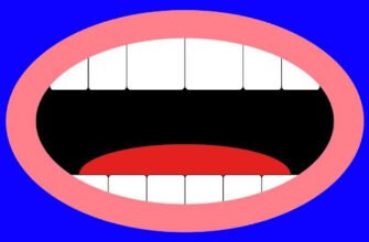 Цікаві слова на букву “О”: розширюємо словниковий запас легко!