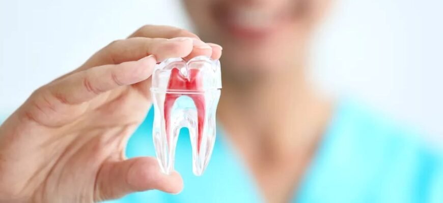 Здорові зуби: Як регулярний догляд запобігає стоматологічним хворобам