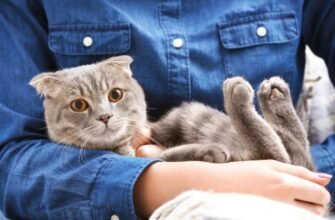 Відновлення блиску та здоров’я шерсті вашого улюбленця: поради та засоби