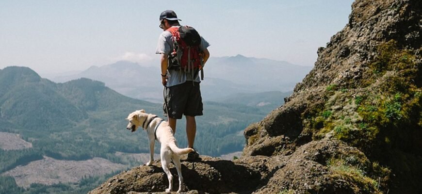 Відпочинок у Карпатах: Кращі місця для вас і вашого улюбленця