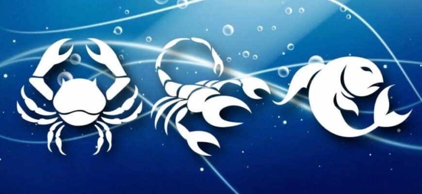 Водні знаки зодіаку: особливості Раків, Скорпіонів та Риб