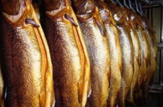 Як правильно користуватись коптильнею: покрокова інструкція для новачків