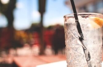 Обраємо найкращий джин в магазині: поради для вдалого вибору