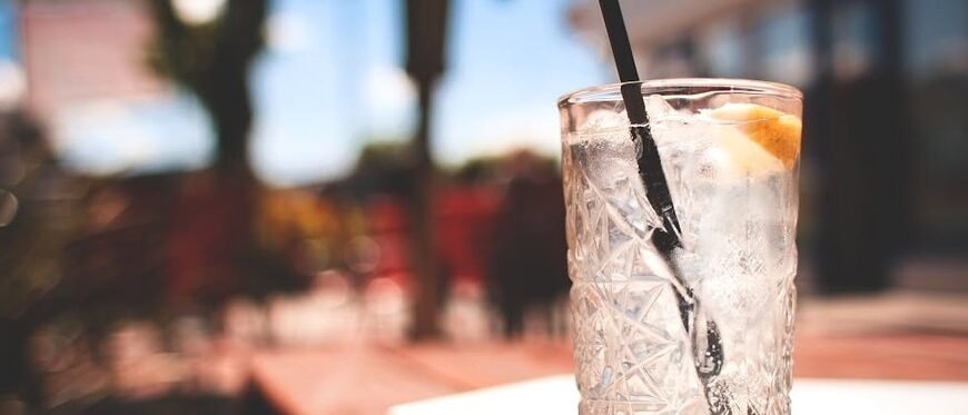 Обраємо найкращий джин в магазині: поради для вдалого вибору