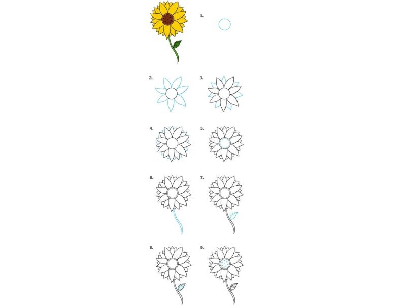 Варіант малюнка соняшника 1