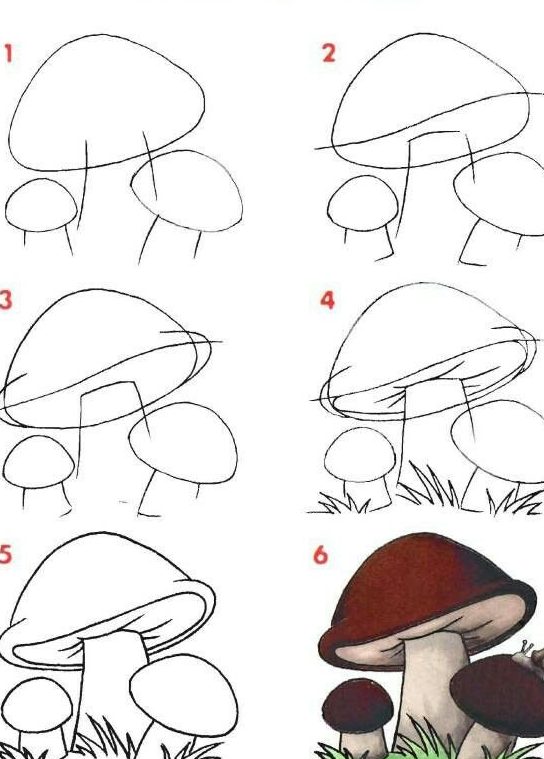 Приклад малюнка гриба олівцем
