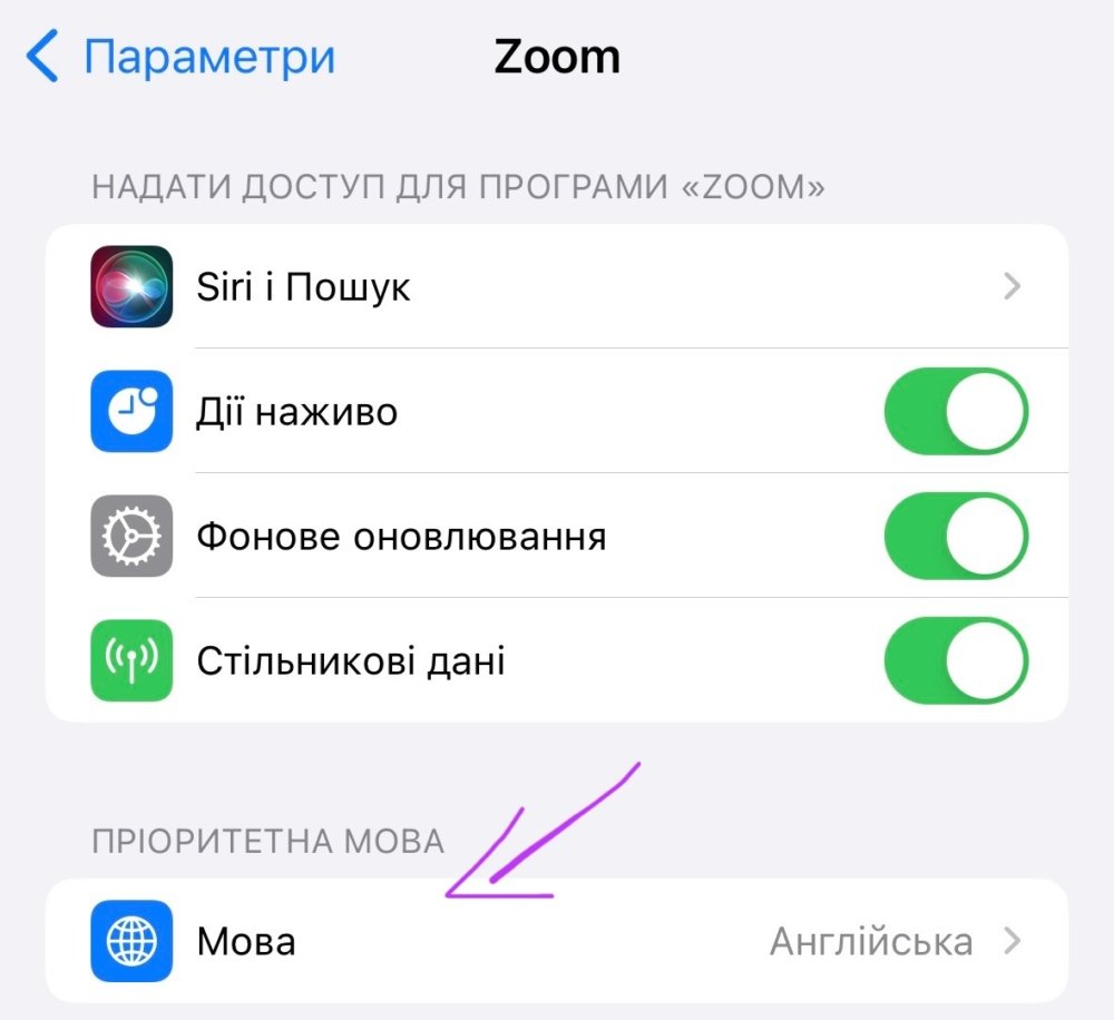 Меню Zoom на iOS