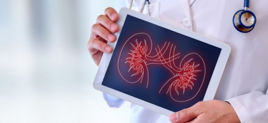 Фактори, що підвищують ризик ниркових захворювань: повний огляд