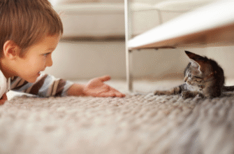 30 чарівних віршів про котиків: відкрийте для себе світ муркотіння