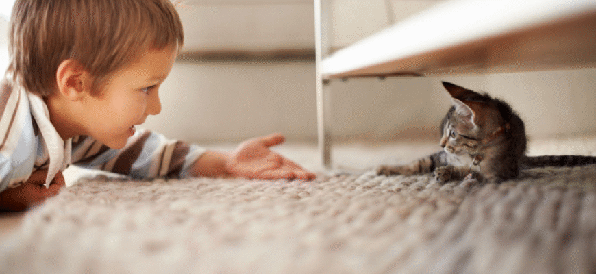 30 чарівних віршів про котиків: відкрийте для себе світ муркотіння