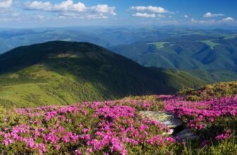 Короткі цитати про Карпати: натхнення для ваших постів в Інстаграмі