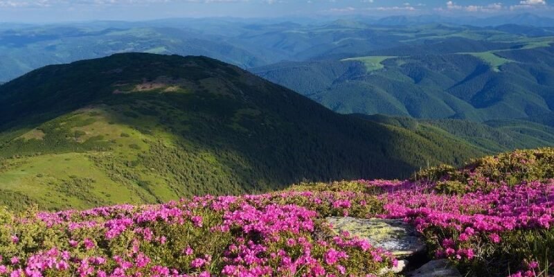 Короткі цитати про Карпати: натхнення для ваших постів в Інстаграмі