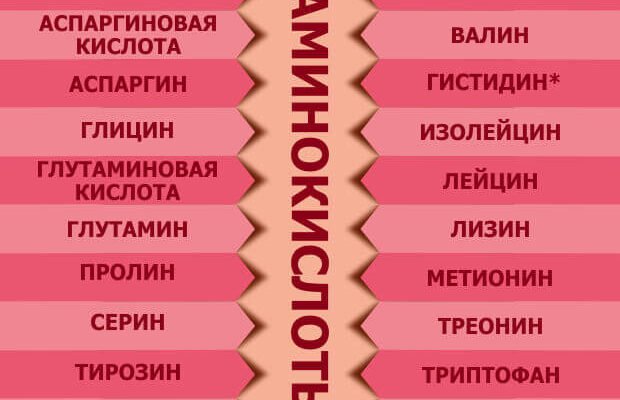Амінокислоти: ключові властивості та їх вплив на наш організм