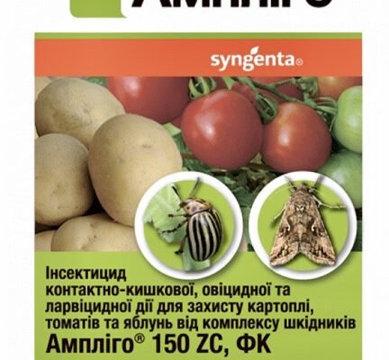 Ампліго: Ефективний захист картоплі від колорадського жука