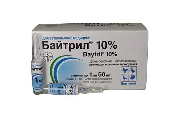 Байтрил: для чого застосовують цей антибіотик у ветеринарії?